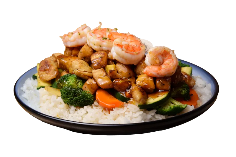 Teriyaki Especial